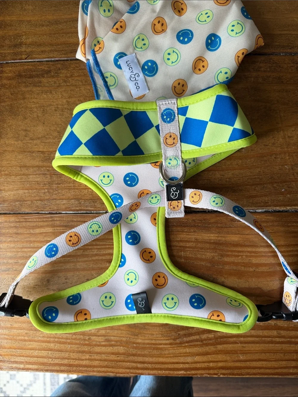 Lucy & Co. dog Blue and Lime Green Checker Harness with Smiley Bandana